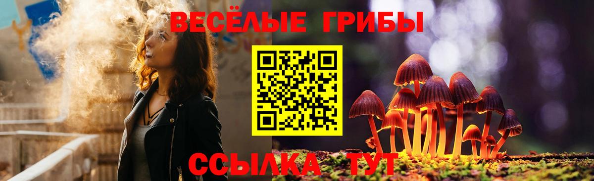 Псилоцибиновые грибы мицелий  Вход с VPN  Белореченск 